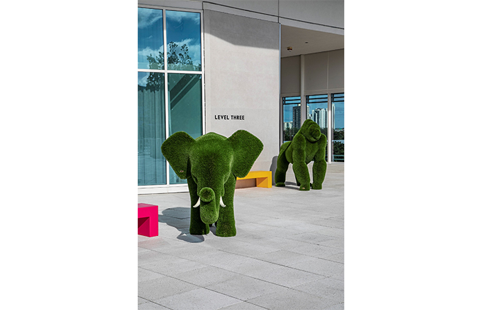 Elephants - Topiary G